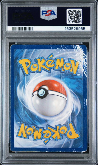 PSA 1 bagside